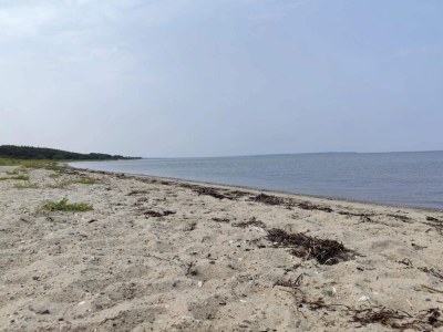 Holiday house 10 person holiday home in Bogense-By Traum - Outdoor photo 33