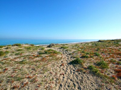 Holiday house Villa Mareli - Environment photo 32