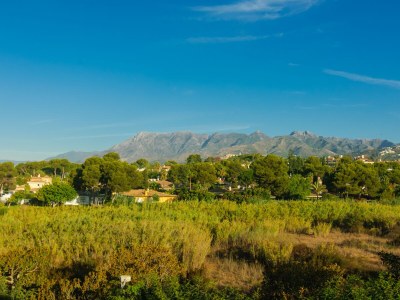 Apartment Beachfront apartment - Outdoor photo 17