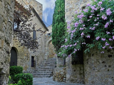 Bungalow Bungalow with access to the pool, 300 m from Playa de Pals (CV 2H 623) - Environment photo 12
