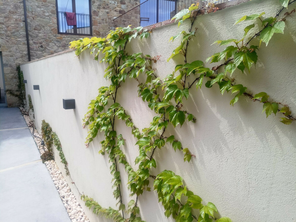 Holiday house Stone house with sauna and jacuzzi - Village of Pals (CE 3H 702) - Outdoor photo 4