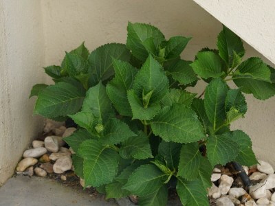 Holiday house Stone house with sauna and jacuzzi - Village of Pals (CE 3H 702) - Outdoor photo 20