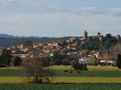 Holiday house Stone house with sauna and jacuzzi - Village of Pals (CE 3H 702) - Outdoor photo 22