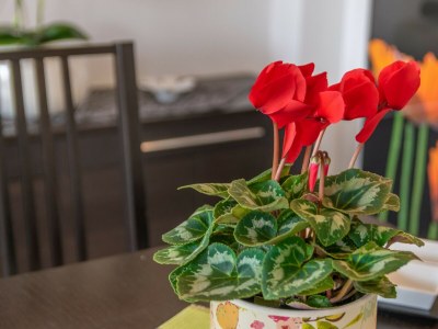 Apartment Casa Pilar - Features photo 13