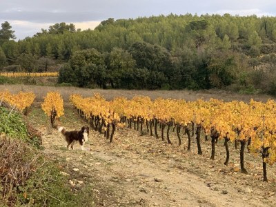 Holiday house Maison La Lavande - Environment photo 35