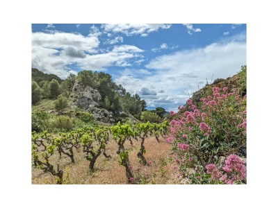 Holiday house Maison La Lavande - Environment photo 36