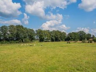 Farmhouse Prachtvolles Bauernhaus in Dwingeloo - Environment photo 28