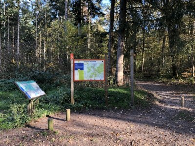 Farmhouse Prachtvolles Bauernhaus in Dwingeloo - Environment photo 30