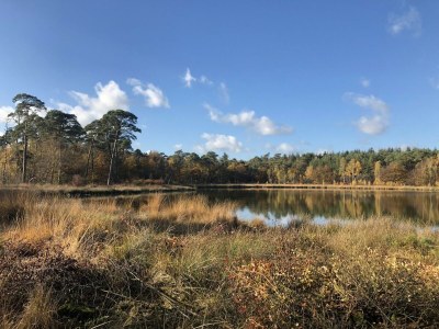 Farmhouse Prachtvolles Bauernhaus in Dwingeloo - Environment photo 31