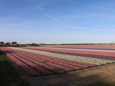 Holiday house Strandperle 264 - Environment photo 22