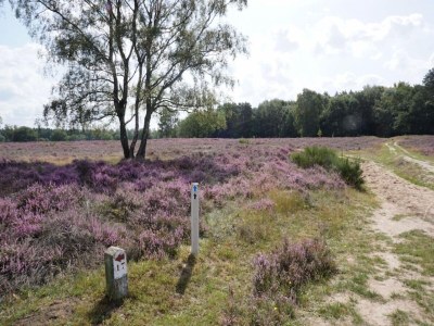 Holiday house Peaceful Holiday Home in Lemele - Environment photo 31