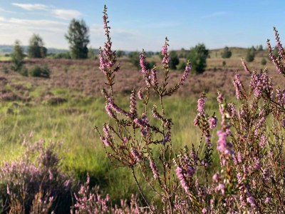 Holiday house Peaceful Holiday Home in Lemele - Environment photo 32