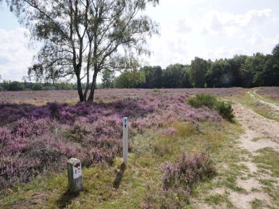 Holiday house Peaceful Holiday Home in Lemele - Environment photo 33