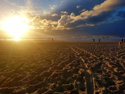 Apartment De Duinroos - Environment photo 33