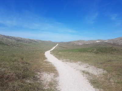 Apartment De Duinroos - Environment photo 36