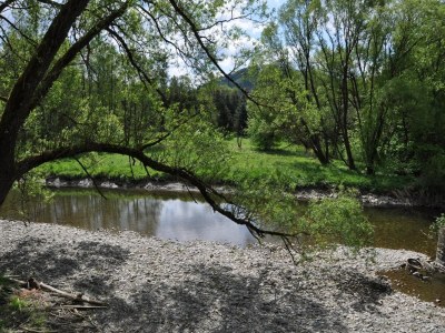 Holiday house Ferienhaus in Ramsbeck mit Garten - Outdoor photo 16