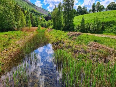 Holiday house Ferienhaus in Ramsbeck mit Garten - Environment photo 30