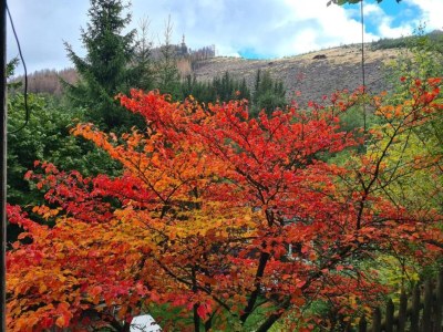 Holiday house Ferienhaus in Ramsbeck mit Garten - Environment photo 37