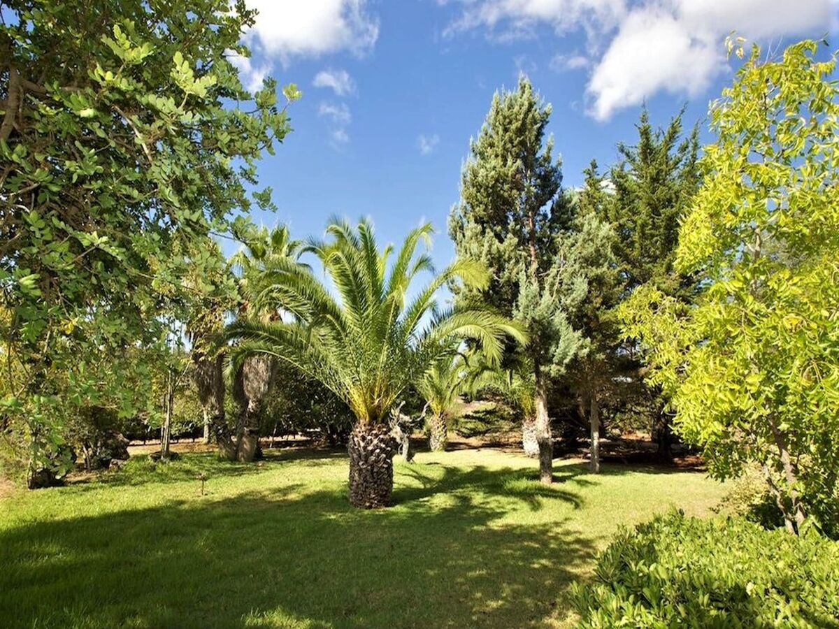 Cottage Apartment mit Infinity-Garten und Pool - Outdoor photo 5