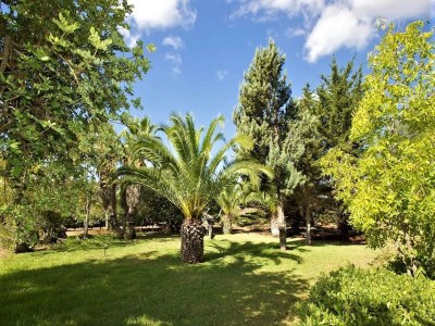 Cottage Apartment mit Infinity-Garten und Pool - Outdoor photo 5