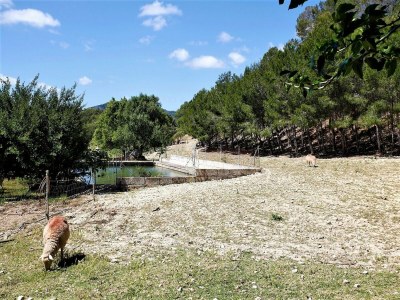 Cottage Apartment mit Infinity-Garten und Pool - Outdoor photo 24