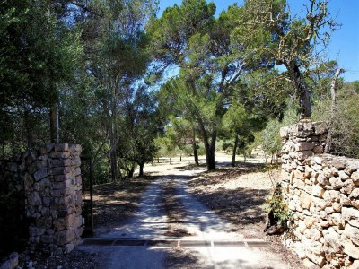 Cottage Apartment mit Infinity-Garten und Pool - Outdoor photo 25