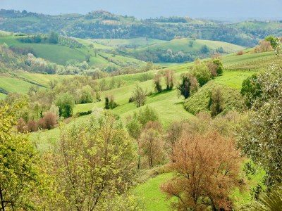 Villa Villa in Lazio mit Pool und Weinbergen - Environment photo 29