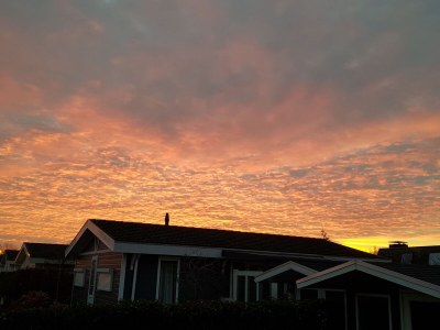 Holiday house Schwedenhaus - Outdoor photo 8