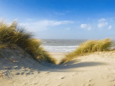 Holiday house Schwedenhaus - Environment photo 35