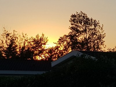 Holiday house Schwedenhaus - Environment photo 40