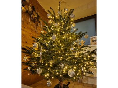 Holiday room Zimmer 4: „Romantik“ - Outdoor photo 68