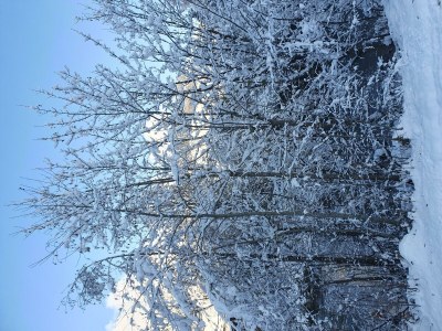 Holiday room Zimmer 3: „Natur“ - Outdoor photo 72