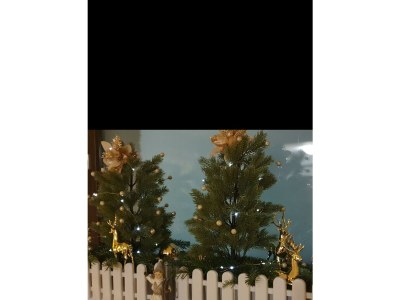 Holiday room Zimmer 2: „Erker“ - Outdoor photo 67