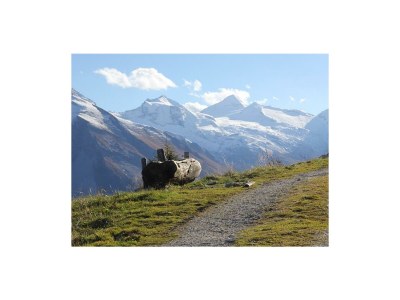 Apartment Apartment/2 Schlafräume/Dusche, WC - Outdoor photo 12