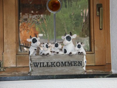 Apartment Apartment/2 Schlafräume/Dusche, WC - Features photo 26