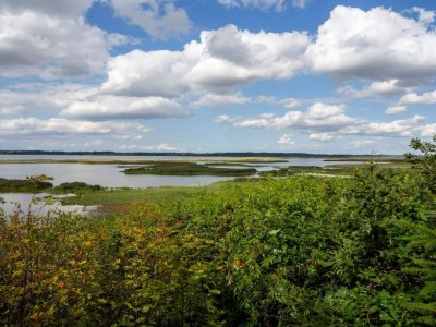 Holiday house 6 Personen Ferienhaus in Vinderup-By Traum - Outdoor photo 12