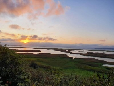 Holiday house 6 Personen Ferienhaus in Vinderup-By Traum - Outdoor photo 27