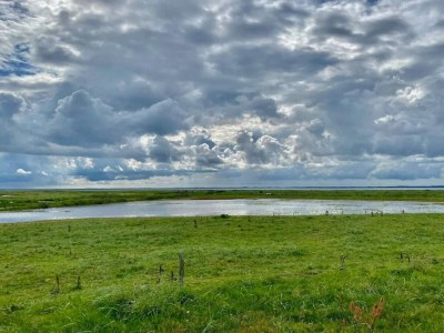 Holiday house 6 Personen Ferienhaus in Vinderup-By Traum - Outdoor photo 28