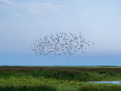 Holiday house 6 Personen Ferienhaus in Vinderup-By Traum - Outdoor photo 31