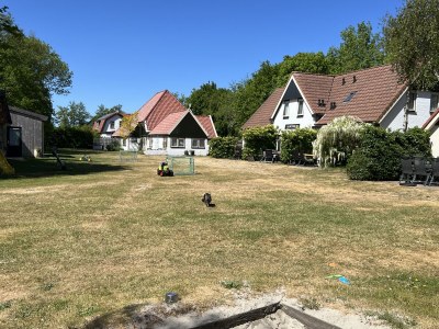 Holiday apartment Koetshuis - Outdoor photo 7