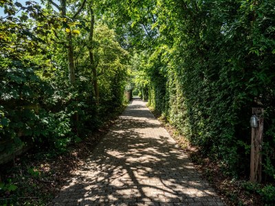 Holiday apartment Koetshuis - Outdoor photo 9