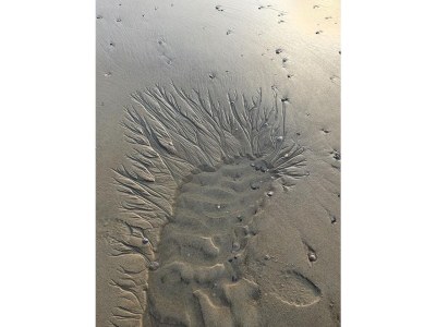 Holiday apartment Koetshuis - Outdoor photo 12