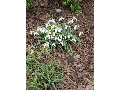 Holiday apartment Koetshuis - Outdoor photo 17