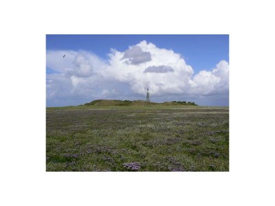 Holiday apartment Koetshuis - Outdoor photo 19