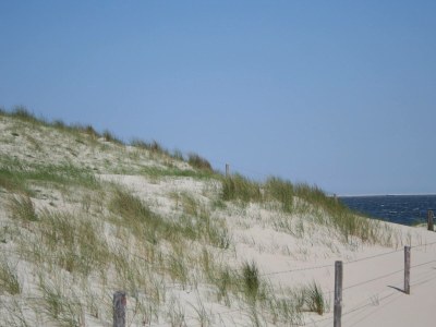 Holiday apartment Koetshuis - Environment photo 34