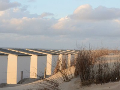 Holiday apartment Koetshuis - Environment photo 36