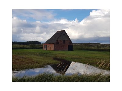 Holiday apartment Koetshuis - Environment photo 38