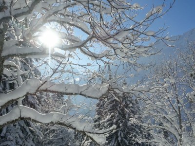 Apartment App./Fewo 2 Luzia, Dusche, WC, 1 Schlafraum - Outdoor photo 10