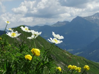 Apartment App./Fewo 2 Luzia, Dusche, WC, 1 Schlafraum - Outdoor photo 11