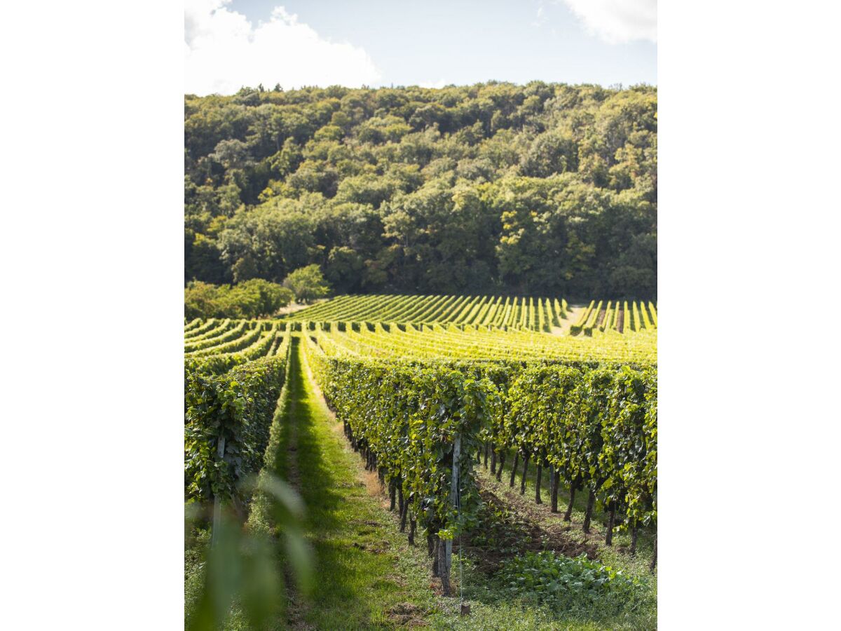 Apartment Appartement/Fewo, Dusche und Bad, WC, 1 Schlafraum